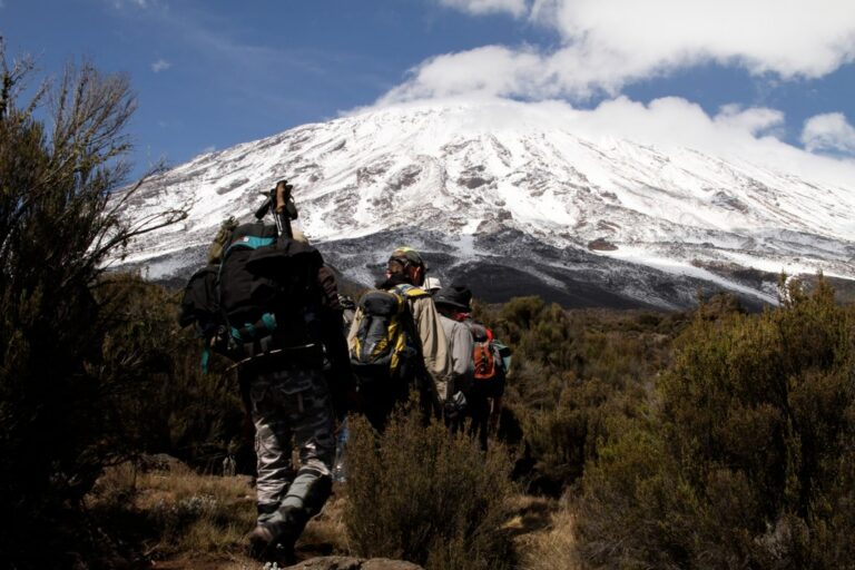 Bergsteiger sehen von hinten auf den schneebedeckten Kilimanjaro