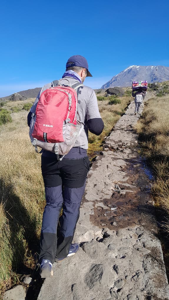 Wanderer auf der Marangu-Route auf befestigtem Pfad Richtung Camp