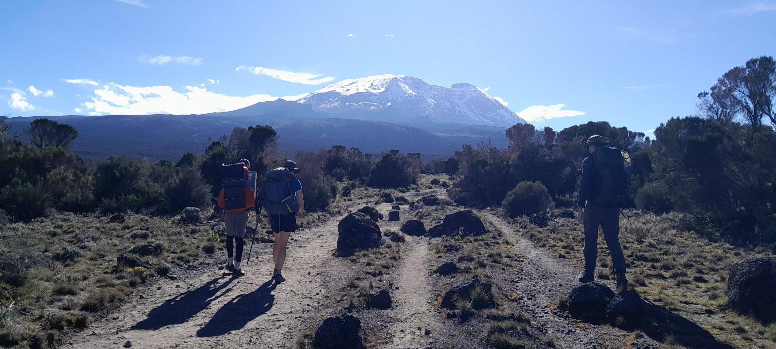 Wanderer mit Rucksäcken und Trekkingausrüstung am Kilimanjaro in Tansania